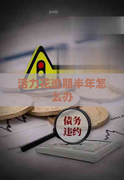 活力花逾期半年怎么办