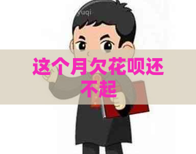 这个月欠花呗还不起
