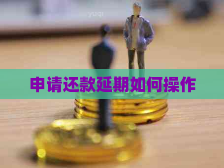 申请还款延期如何操作