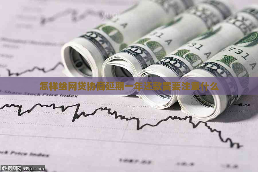 怎样给网贷协商延期一年还款需要注意什么