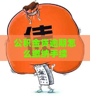 公积金贷逾期怎么缴纳手续
