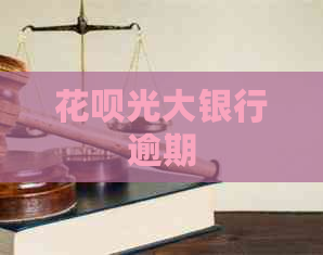 白条光大银行逾期