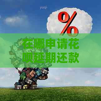 在哪申请白条延期还款