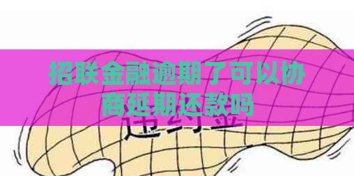 招联金融逾期了可以协商延期还款吗