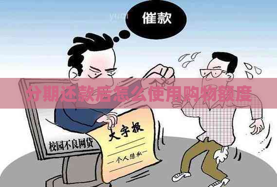 分期还款后怎么使用购物额度