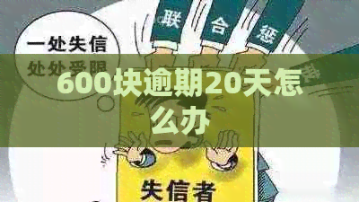 600块逾期20天怎么办