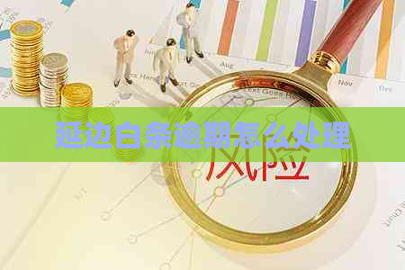 延边白条逾期怎么处理