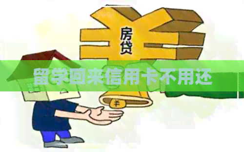 留学回来信用卡不用还