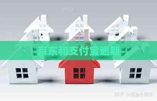 京东和支付宝逾期