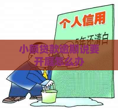 小额贷款逾期说要开庭怎么办
