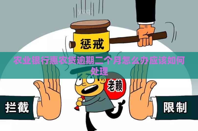农业银行惠农贷逾期二个月怎么办应该如何处理 农业银行惠农贷逾期二个月怎么办应该如何处理
