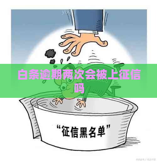 白条逾期两次会被上吗
