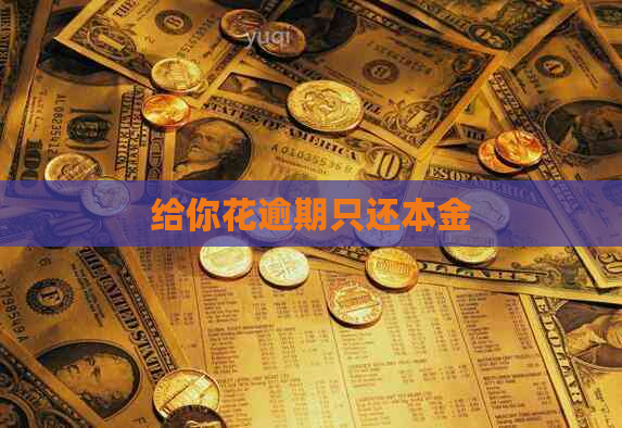 给你花逾期只还本金