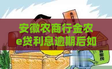 安徽农商行金农e贷利息逾期后如何处理