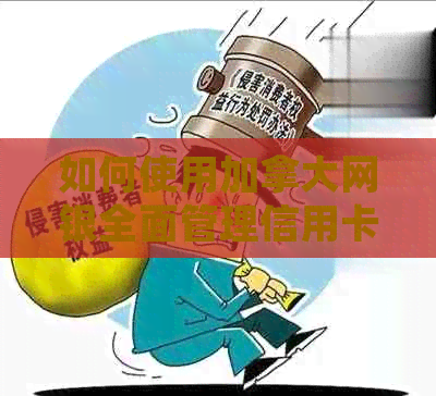 如何使用加拿大网银全面管理信用卡还款：步骤、技巧与常见问题解答