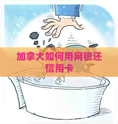 加拿大如何用网银还信用卡