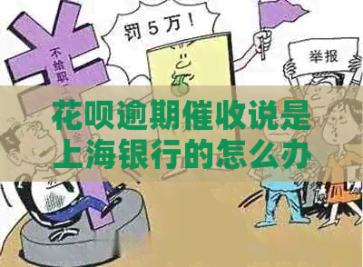 白条逾期说是上海银行的怎么办