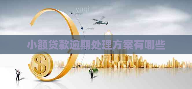 小额贷款逾期处理方案有哪些 小额贷款逾期处理方案有哪些