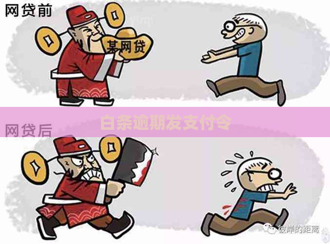 白条逾期发支付令