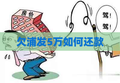 欠浦发5万如何还款