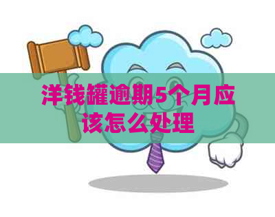 洋钱罐逾期5个月应该怎么处理