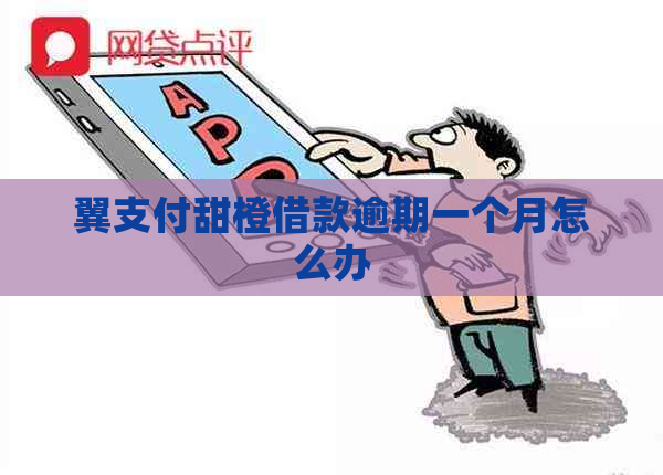 翼支付甜橙借款逾期一个月怎么办