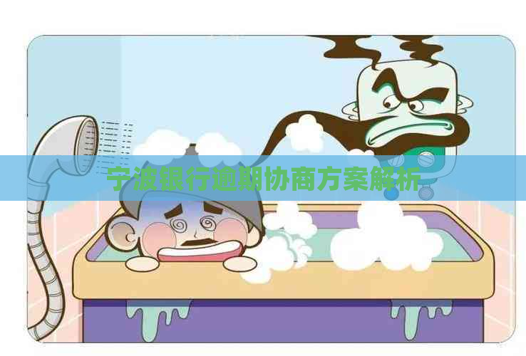 宁波银行逾期协商方案解析