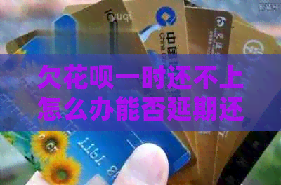 欠白条一时还不上怎么办能否延期还款