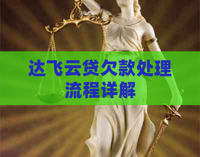 达飞云贷欠款处理流程详解