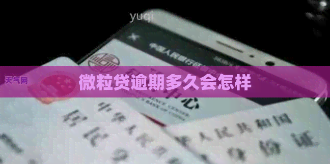 微粒贷逾期多久会怎样