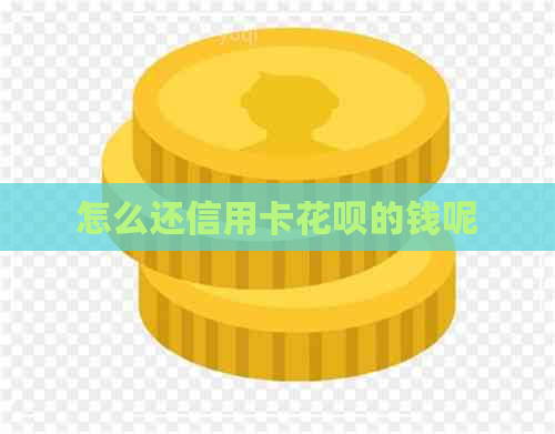 怎么还信用卡信用卡的钱呢