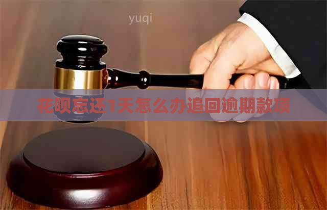 花呗忘还1天怎么办追回逾期款项