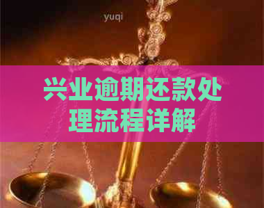 兴业逾期还款处理流程详解