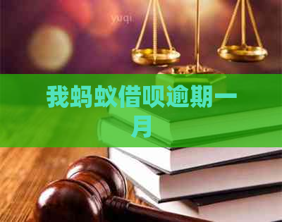 我蚂蚁借呗逾期一月