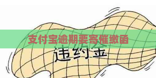 支付宝逾期要寄催缴函