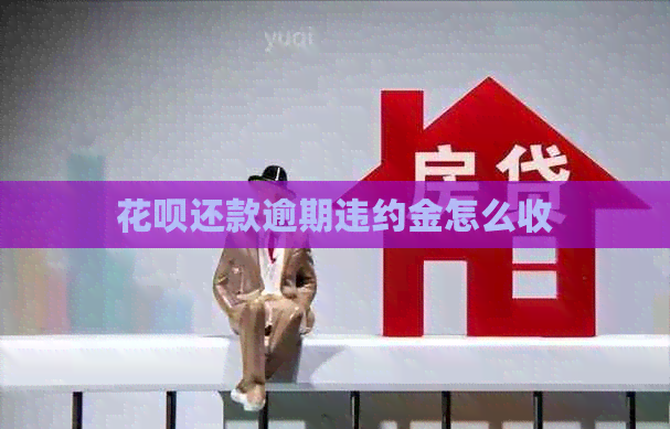白条还款逾期违约金怎么收 白条还款逾期违约金怎么收