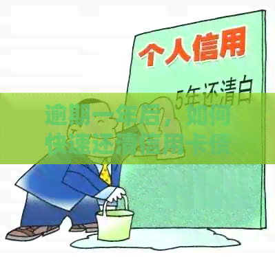 逾期一年后，如何快速还清信用卡债务：一次还款攻略资讯
