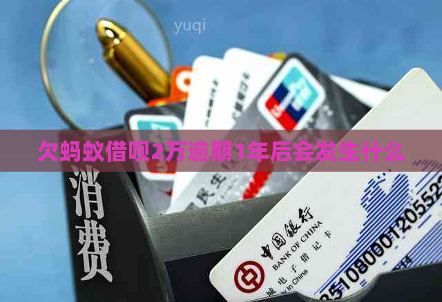 欠蚂蚁借呗2万逾期1年后会发生什么