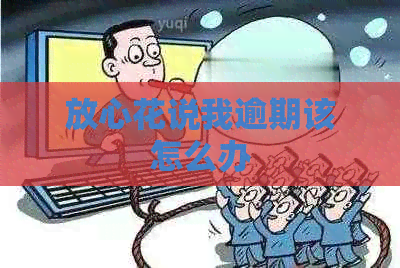 放心花说我逾期该怎么办