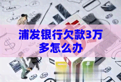 浦发银行欠款3万多怎么办