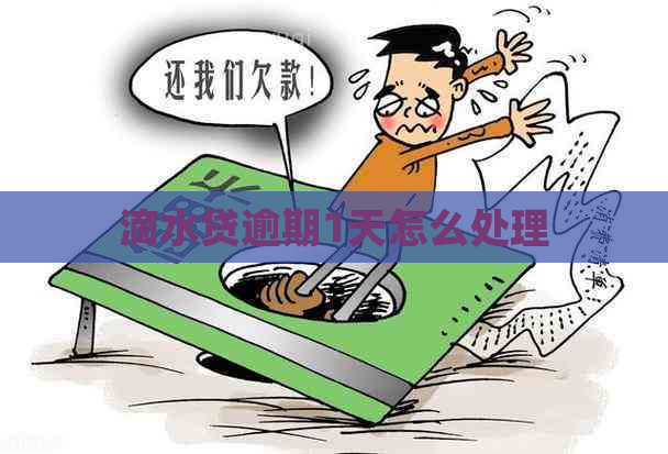 滴水贷逾期1天怎么处理