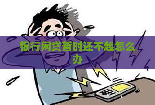 银行网贷暂时还不起怎么办