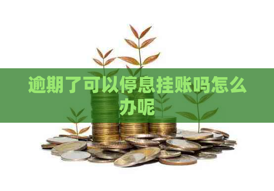 逾期了可以停息挂账吗怎么办呢