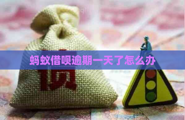 蚂蚁信用卡逾期一天了怎么办