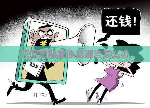 白条逾期发冻结通告怎么办