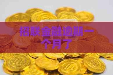 招联金融逾期一个月了