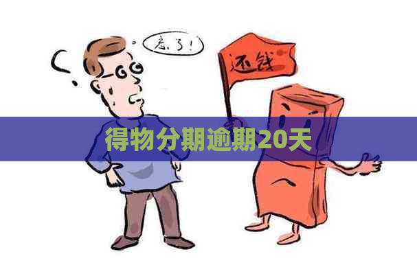 得物分期逾期20天