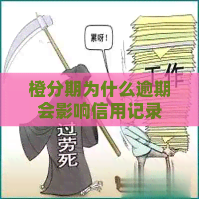 橙分期为什么逾期会影响信用记录
