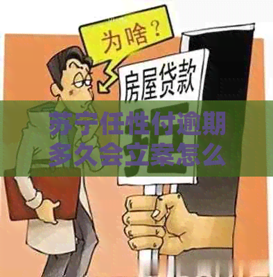 苏宁任性付逾期多久会立案怎么办理