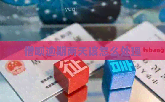 信用卡逾期两天该怎么处理
